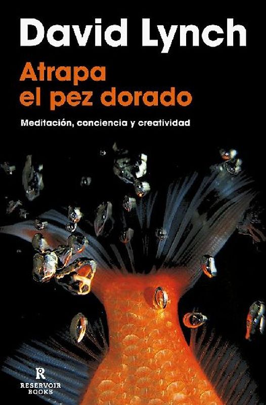 Atrapa El Pez Dorado / Catching the Big Fish