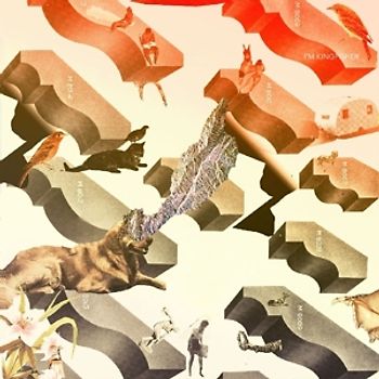 Im Kingfisher - Transit