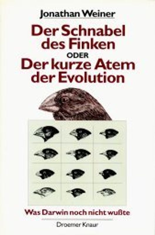Der Schnabel des Finken oder der kurze Atem der Evolution. Was Darwin noch nicht wusste