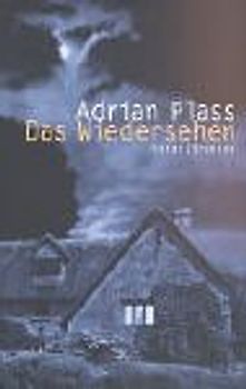 Das Wiedersehen. Roman