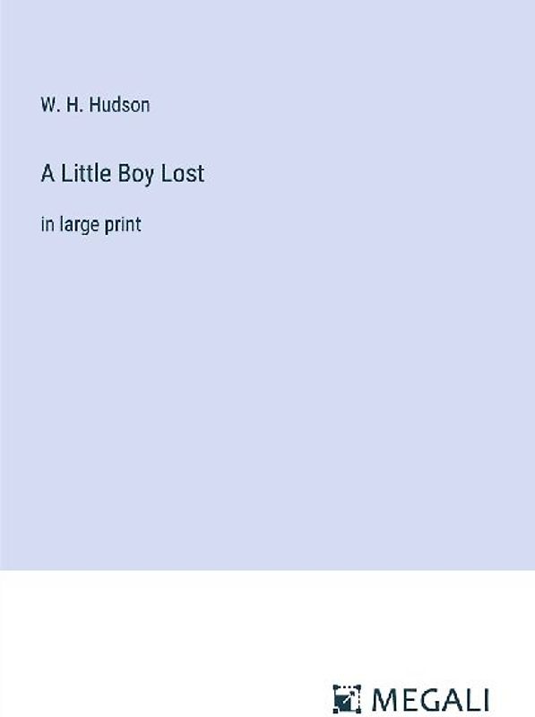 A Little Boy Lost