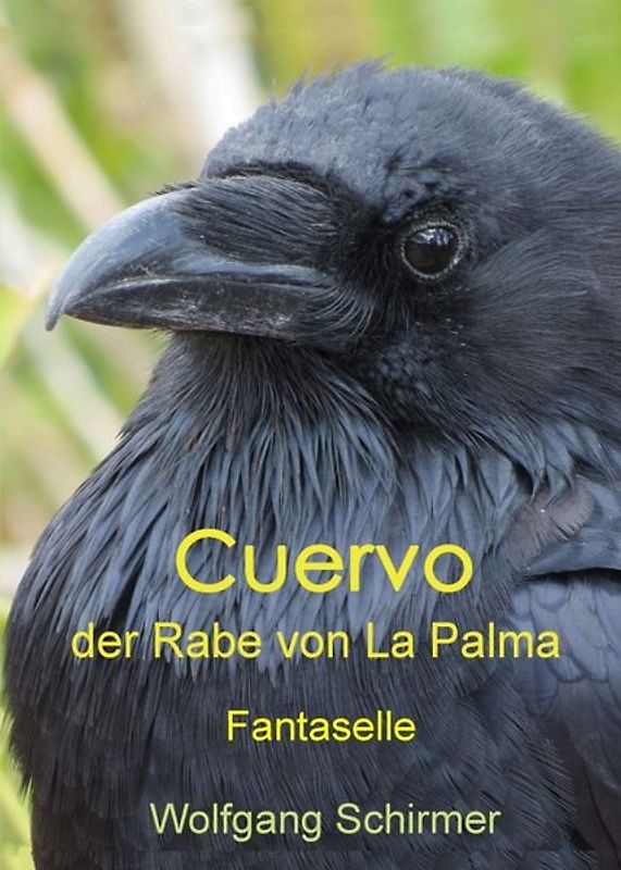 Cuervo – der Rabe von La Palma