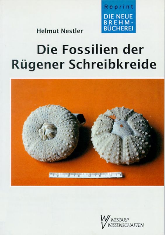Die Fossilien der Rügener Schreibkreide