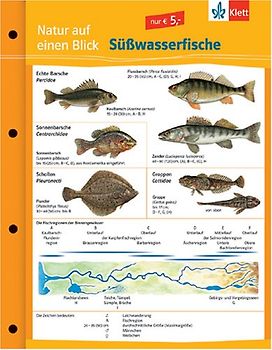 Süßwasserfische. Naturkundefolder Klasse 1-10