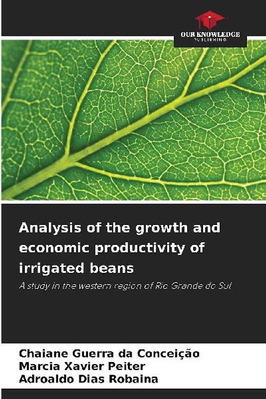 Analysis of the growth and economic productivity of irrigated beans