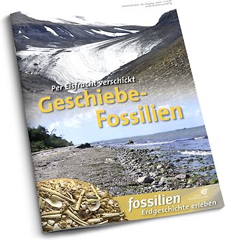 Geschiebe-Fossilien