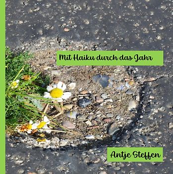 Mit Haiku durch das Jahr