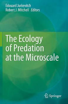 The Ecology of Predation at the Microscale