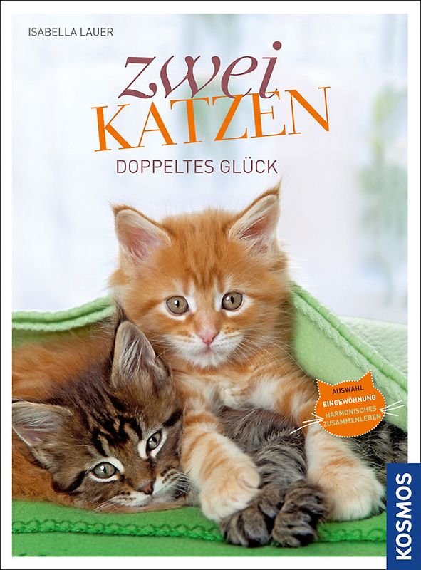 Zwei Katzen Doppeltes Glück
