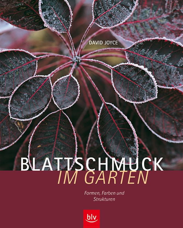 Blattschmuck im Garten