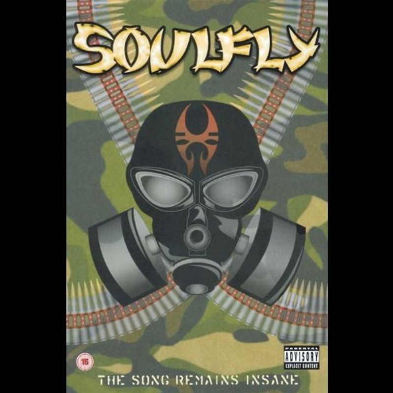 Song Remains Insane; The DVD