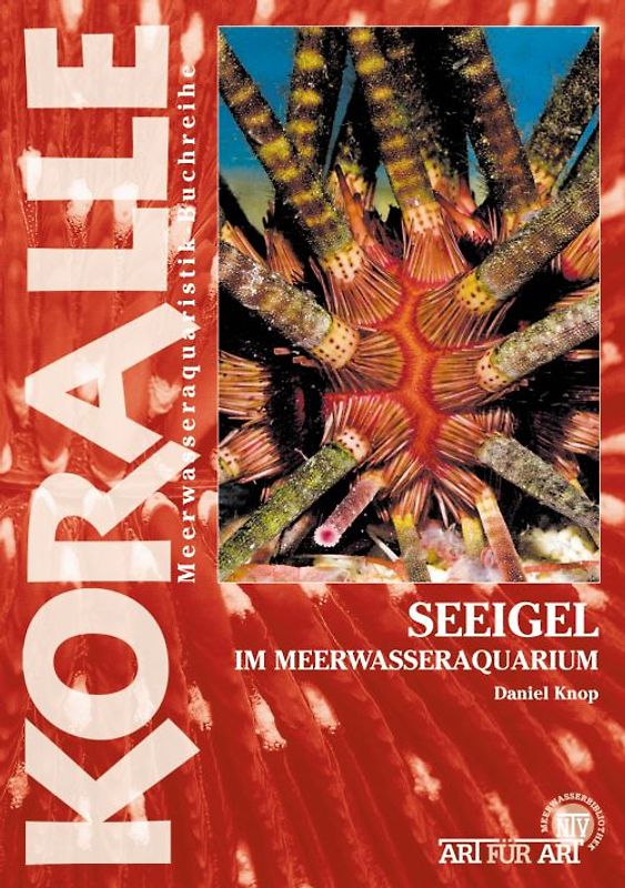 Seesterne im Meerwasseraquarium