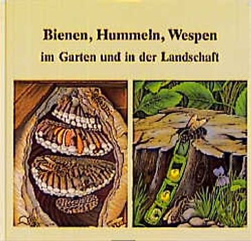 Bienen, Hummeln, Wespen im Garten und in der Landschaft