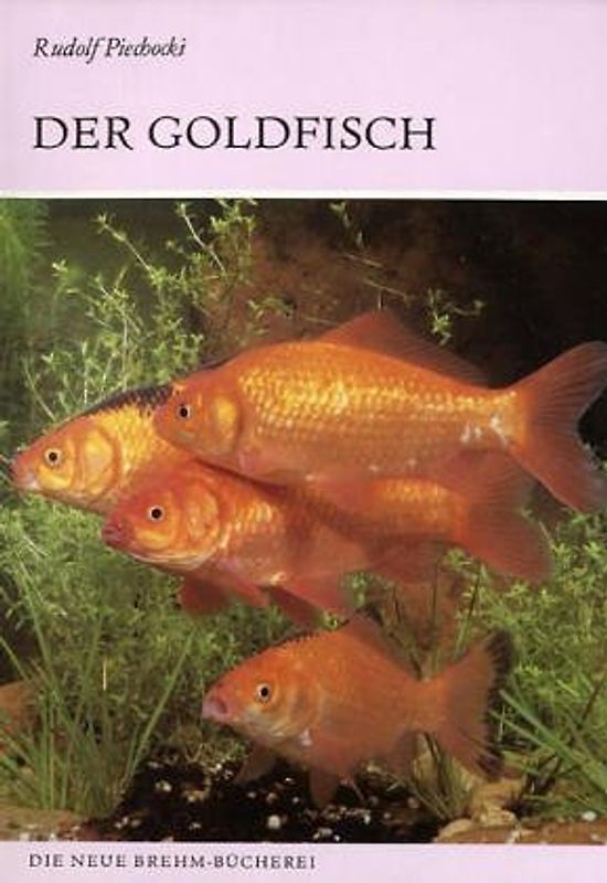 Der Goldfisch und seine Varietäten. Carassius auratus