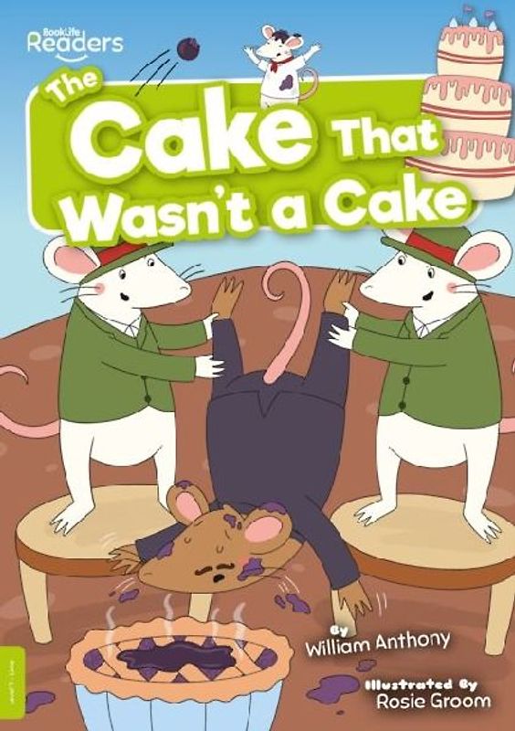 The Cake That Wasn't a Cake