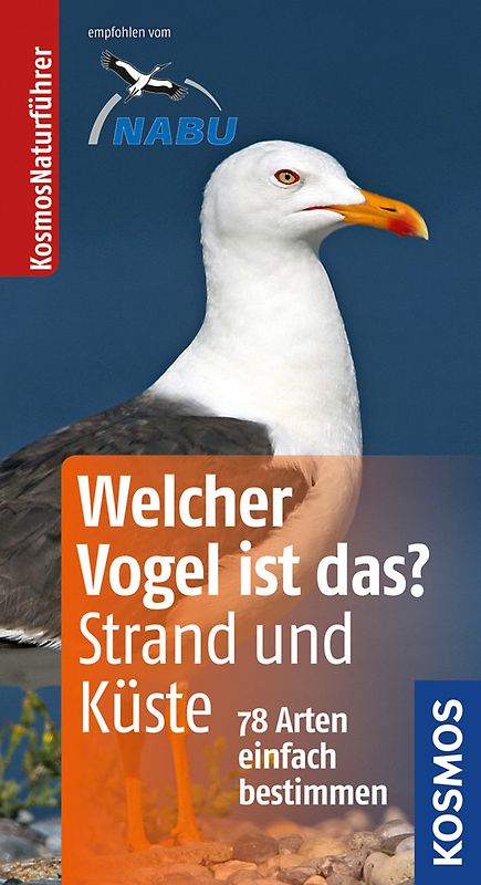 Welcher Vogel ist das? an Strand und Küste