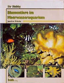 Ihr Hobby Blumentiere im Meerwasseraquarium
