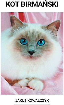 Kot Birmański