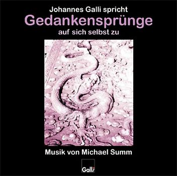 Gedankensprünge auf sich selbst zu (CD 1)