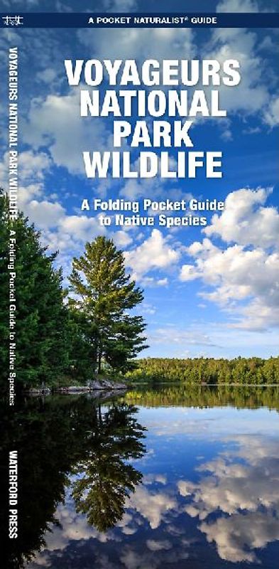 Voyageurs National Park Wildlife