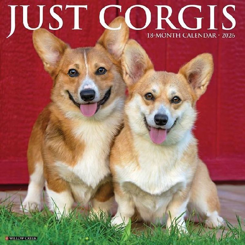 Corgis 2026 12 X 12 Wall Calendar