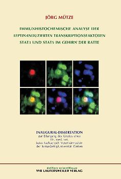 Immunohistochemische Analyse der Leptin-induzierten Transkriptionsfaktoren STAT3 und STAT5 im Gehirn der Ratte