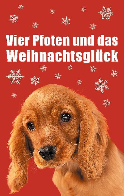 Vier Pfoten und das Weihnachtsglück