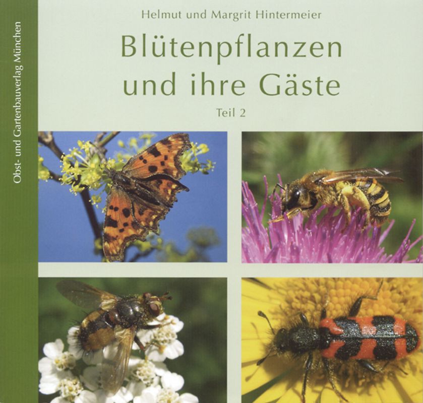 Blütenpflanzen und ihre Gäste - Teil 2