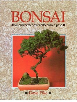 Bonsai : su correcto desarrollo paso a paso