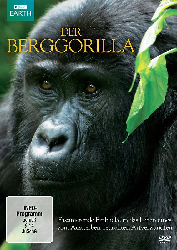 Der Berggorilla DVD