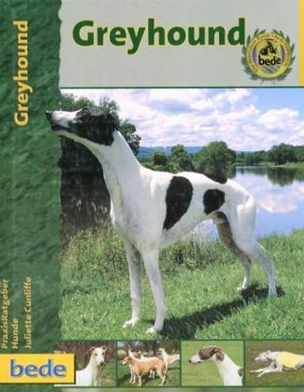 Praxisratgeber Greyhound