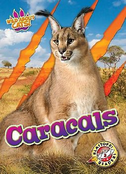 Caracals