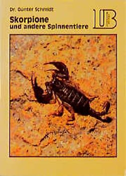 Skorpione und andere Spinnentiere