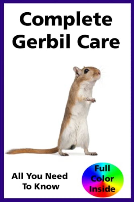 Complete Gerbil Care: A Comprehensive Guide to Caring For Your Gerbil: Make cheap hamster toys from cardboard, string and lollypop sticks