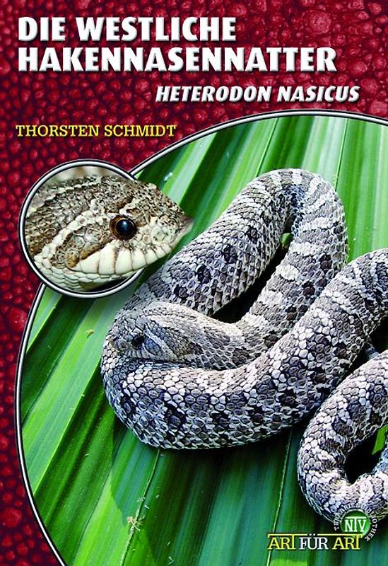 Die Westliche Hakennasennatter