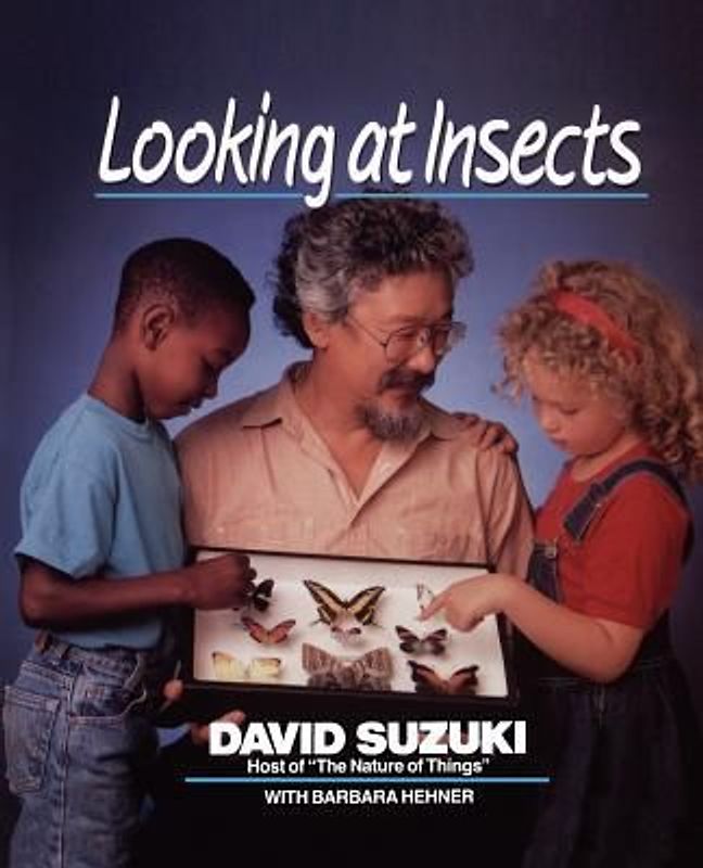 Looking at Insects