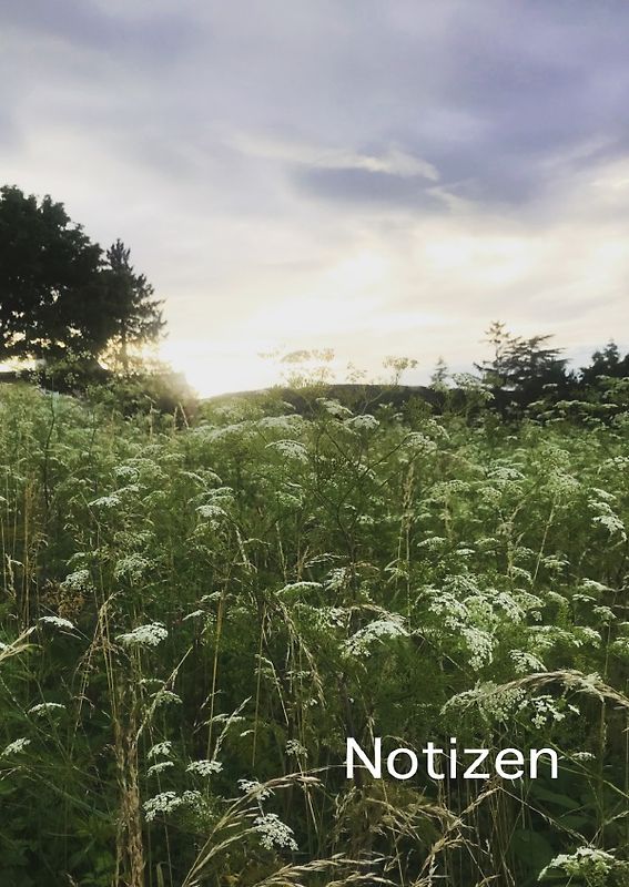 Notizen
