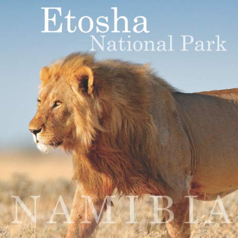 Etosha National Park: The guidebook