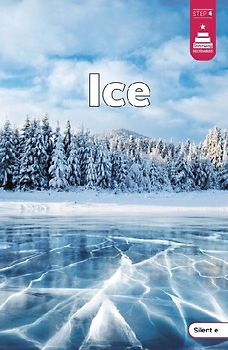 Ice