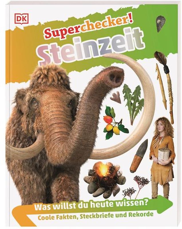 Superchecker! Steinzeit