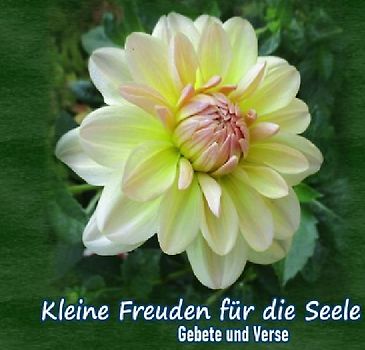 Kleine Freuden für die Seele