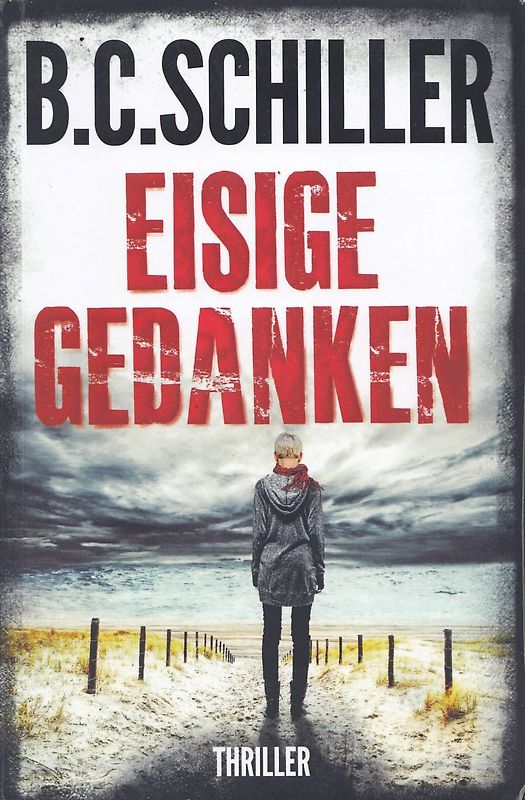 Eisige Gedanken - B.C. Schiller [Taschenbuch]
