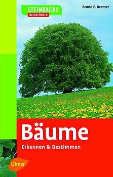 Bäume