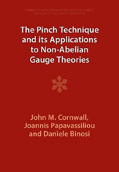 The Pinch Technique and Its Applications to Non-Abelian Gauge Theories