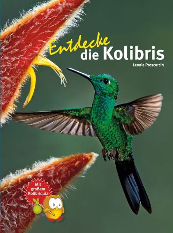 Entdecke die Kolibris