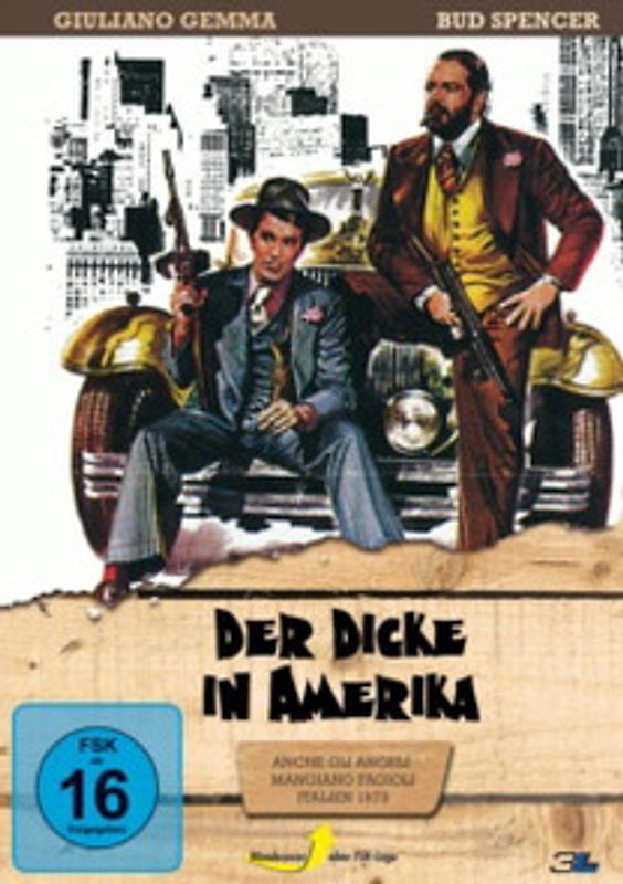 Der Dicke in Amerika DVD