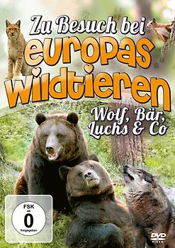 Zu Besuch Bei Europas Wildtieren DVD