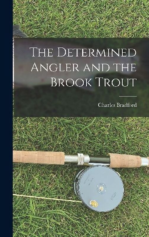 The Determined Angler and the Brook Trout