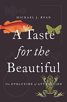 A Taste for the Beautiful: The Evolution of Attraction