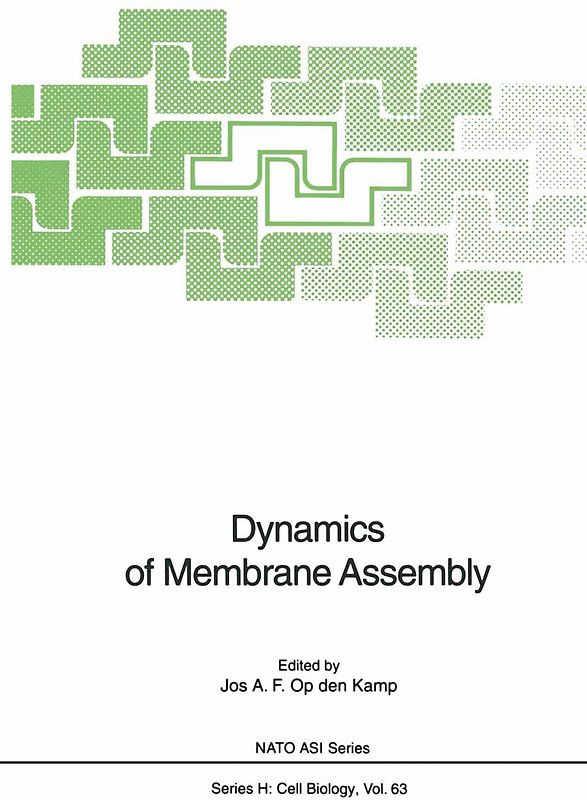 Dynamics of Membrane Assembly